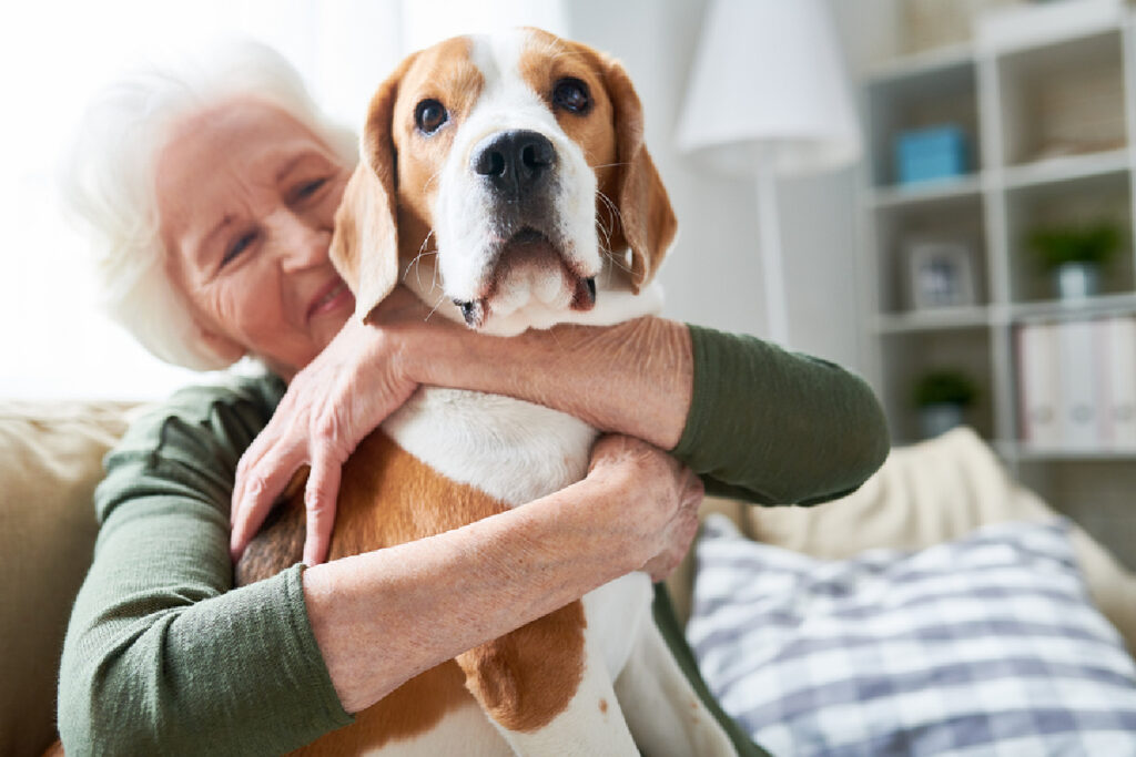 Senior Care in Riverhead NY: Animals