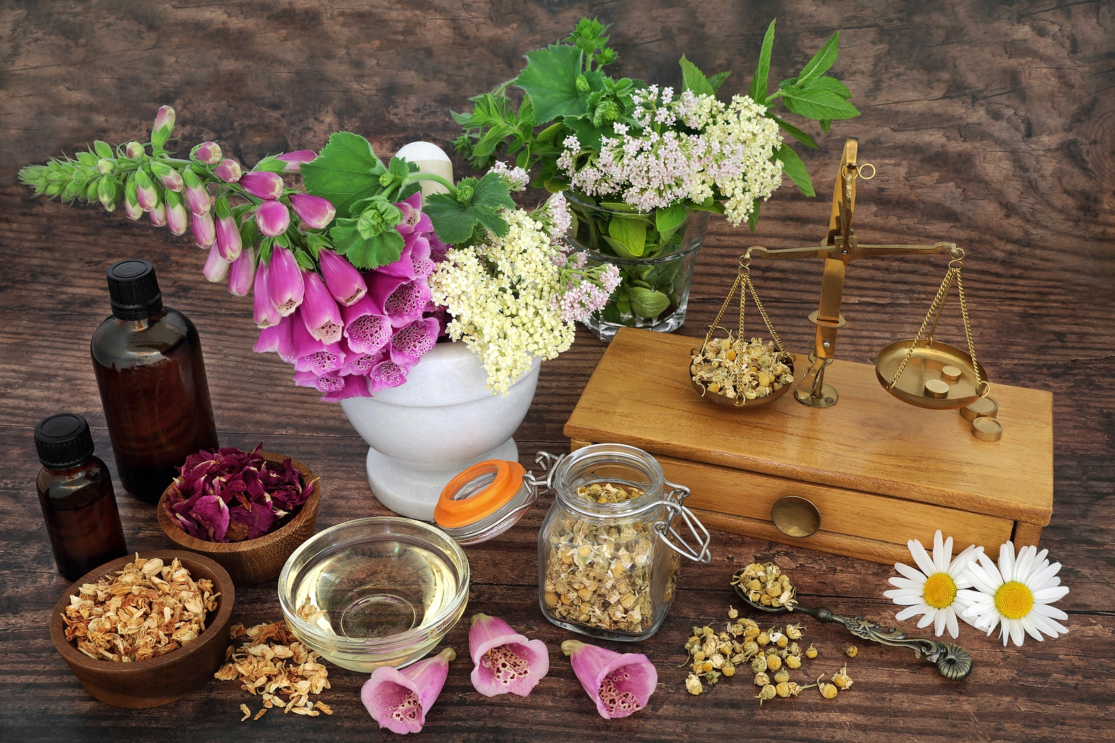 https://www.artfulhomecare.net/wp-content/uploads/2022/07/bigstock-Healing-herbs-and-flowers-for-439076111.jpg