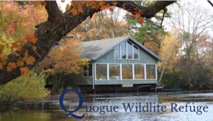 Winter Nature Refuge 2025